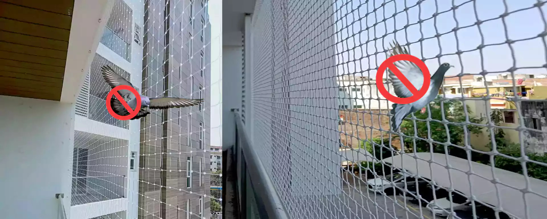 Pigeon and Bird Safety Nets for Hyderabad - Call Us +91 7842022844
